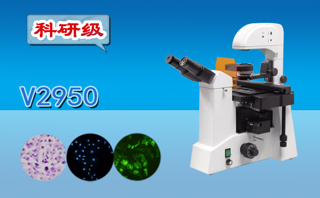 三目倒置熒光妖精视频在线免费观看V2950