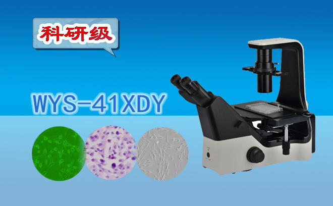 科研級三目倒置熒光妖精视频在线免费观看WYS-41XDY