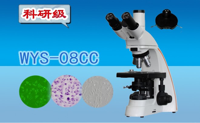 三目相襯妖精视频在线免费观看WYS-08CC