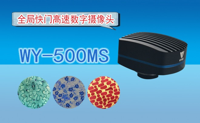 生命科學妖精视频在线免费观看的觀察方式