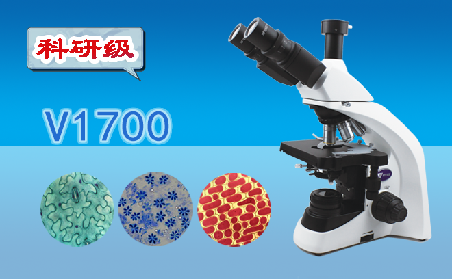 生物妖精视频在线免费观看的分類和使用方法是什麽呢？