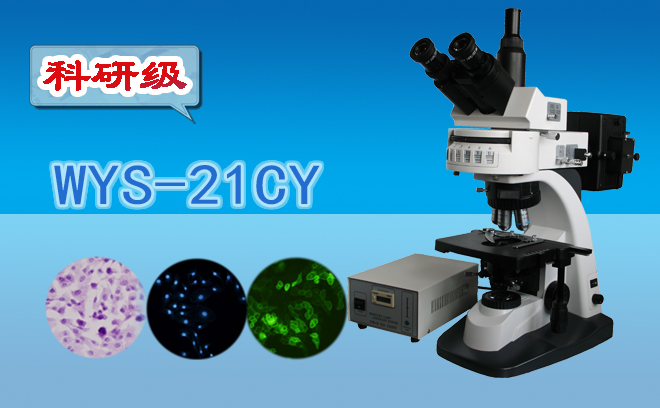 熒光妖精视频在线免费观看技術包括哪幾種？