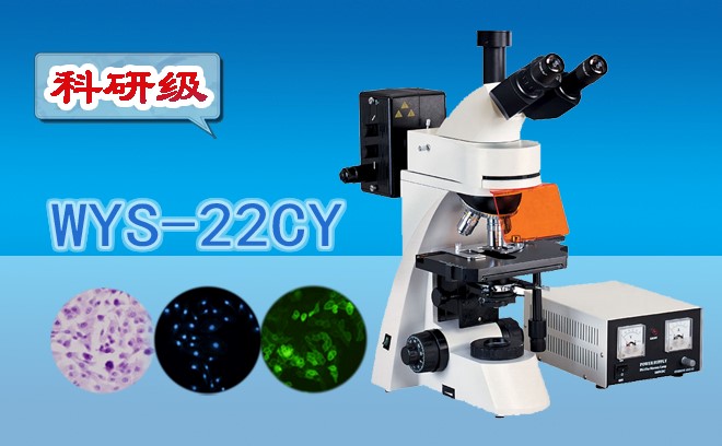 熒光妖精视频在线免费观看的使用方法