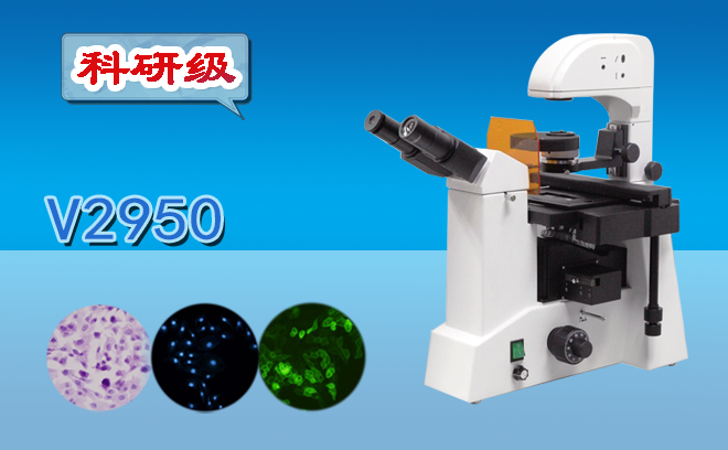 熒光妖精视频在线免费观看和普通妖精视频在线免费观看的區別