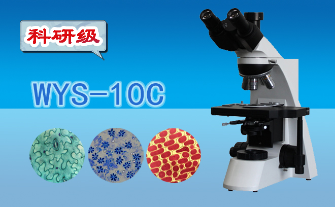 生物妖精视频在线免费观看.jpg